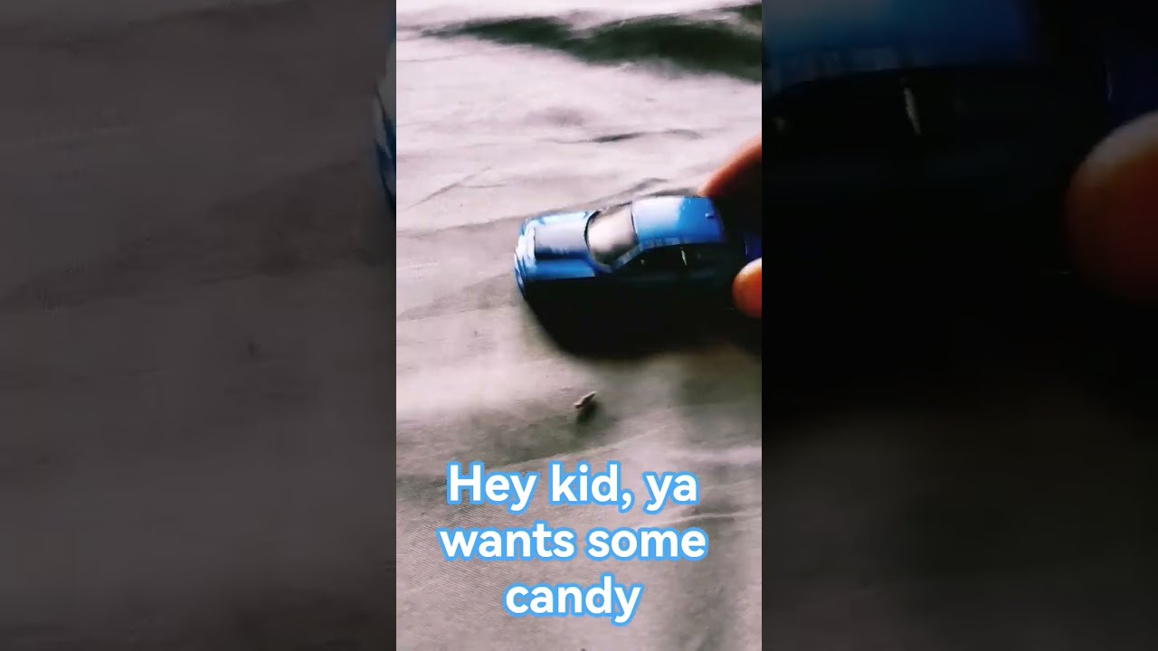  Funny Amnewbutnottheleast Helpmemakethismakesense
