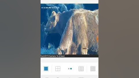 NVMS7000 - Digital and Optical Zoom