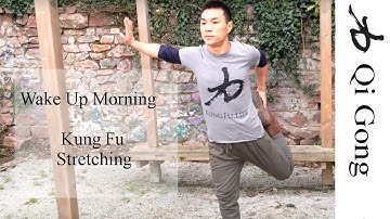 Wake Up Morning Kung Fu Stretch Routine