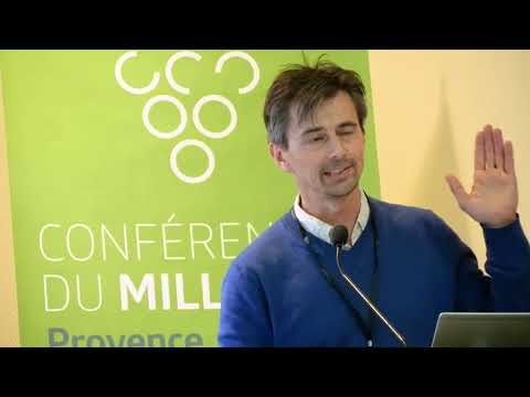 2019 Provence Conference du Millesime - Thibaut Scholasch - Bilan climatique de l'hiver