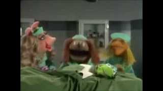 The Muppets: Veterinarian&#39;s Hospital (Kermit)