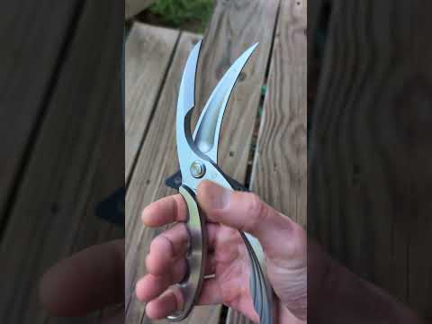 Everyone Needs Tactical Scissors NOW!