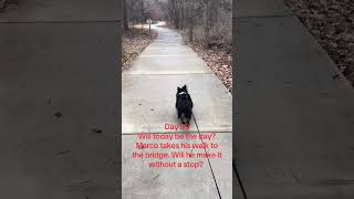 Day 39. Will Marco make it to the bridge without a stop today?