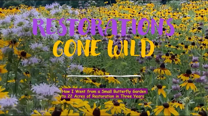 Restorations Gone Wild!