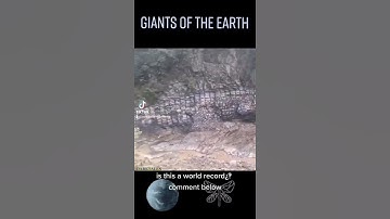 giant reptile 🦎 mud Fossil world