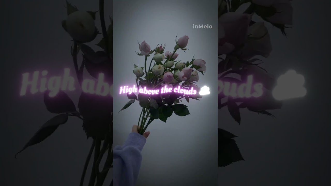 Create music lyrics video with one click