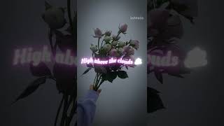 Create music lyrics video with one click