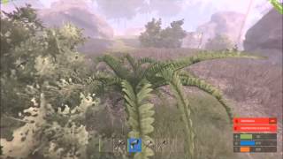 [Rust] Wall Bug!