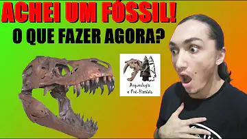 O que fazer se encontrar um fóssil?