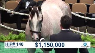 The Saratoga Sale (2016): Hip 140 c. Tapit sells for $1.25 million