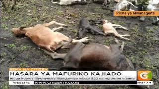 Wafugaji wanne Imbirikani Kajiado wanakadiria hasara