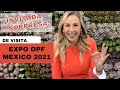 De paseo por la Expo OPF 2021 Suculentas y Plantas / ¡Invitada sorpresa!