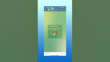 How to Start Secret Chat on Telegram | Telegram Guide