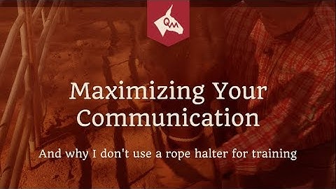 Mule and Donkey Training - Maximum Communication