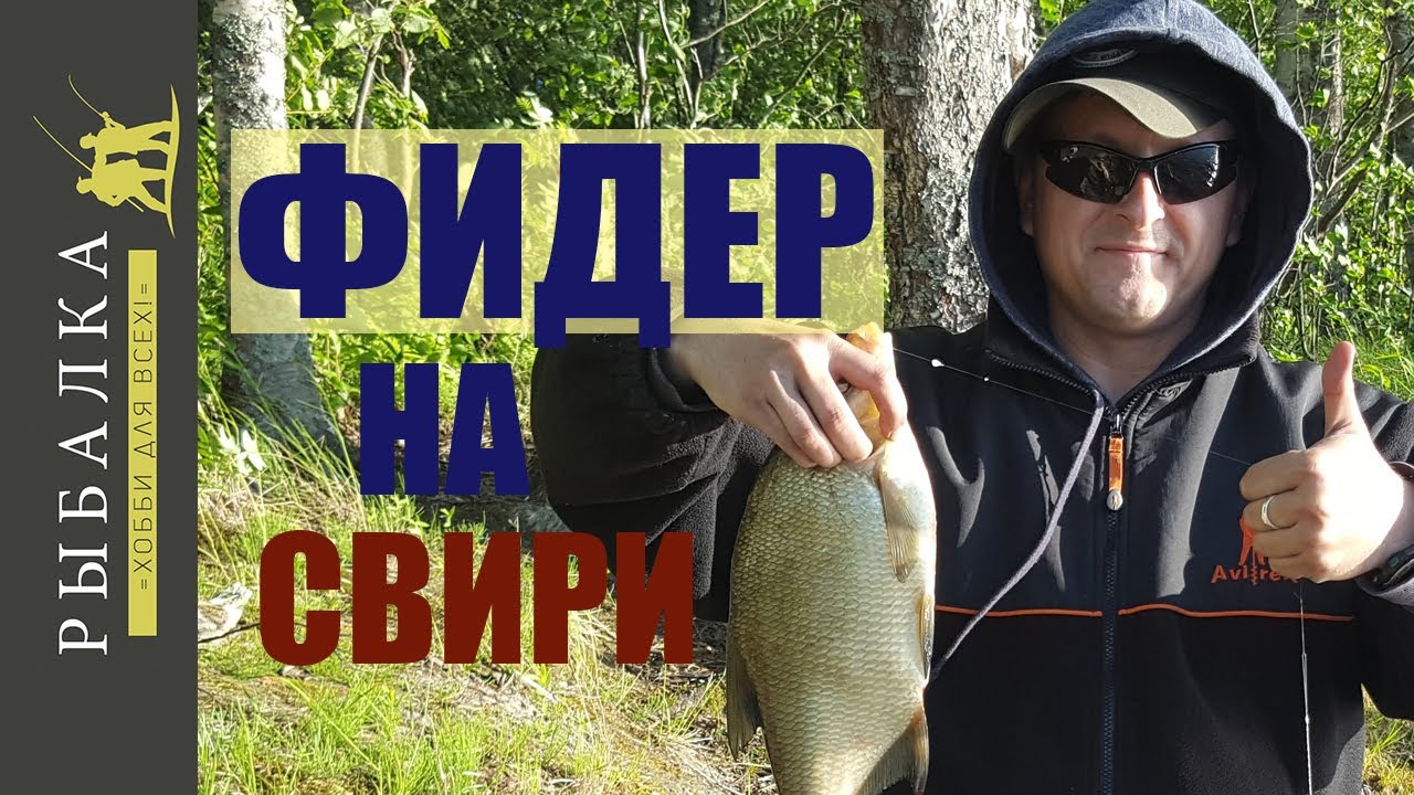 рыбалка на свири на фидер