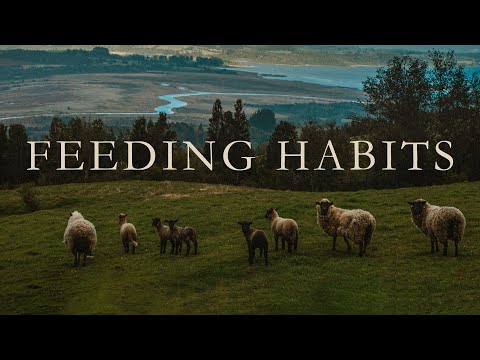 Reading you a chapter of my novel! | Feeding Habits