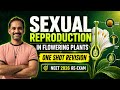 Sexual Reproduction in Flowering Plants One Shot | NEET 2026 Biology Full Chapter Revision