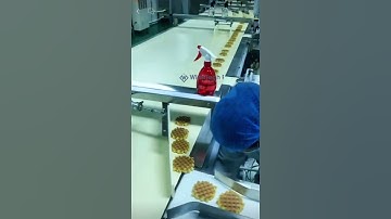 Crunchy Waffle On-pile Stacking + automatic rotary bagger packaging #filling  #baggingmachine
