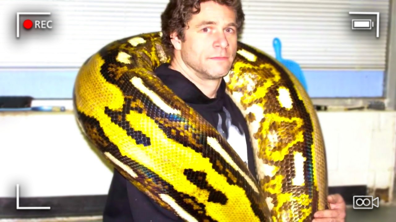 shelby township police spent wednesday night digging a... Police Horrified By What They Found Inside the Python - YouTube