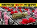 Billion Dollar Banana Stem Industry! केले के तनों से बनी ये चीजें देखकर दिमाग हिल जाएगा।
