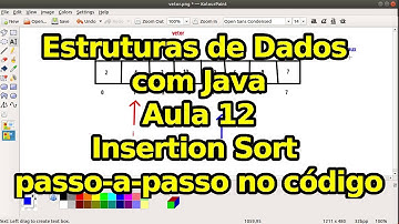 Aula 12 - Insertion Sort - Estruturas de Dados com Java