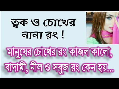 ভিডিও: বাদামী চোখের বাবা-মা কেন নীল চোখের বাচ্চা থাকে?