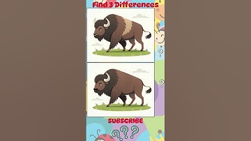 Can You Find the 3 Differences? #76