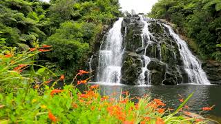 4k UHD Nature Waterfalls in New Zealand. 4k Natural Waterfall Sounds, 10 hours for Relaxing Sleep. by Nature Zilla 27,536 views 2 years ago 10 hours, 7 minutes