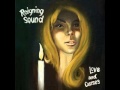 Reigning sound dangerous game