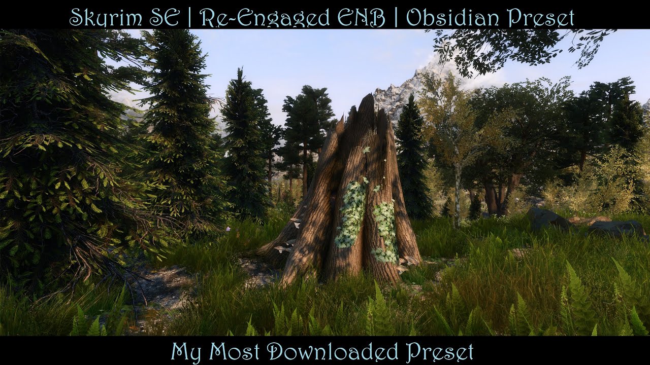 skyrim specil ediiton how to download enb