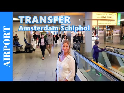 TRANSFER AT AMSTERDAM Airport Schiphol - Transit Walk through Airport to our Connection Flight