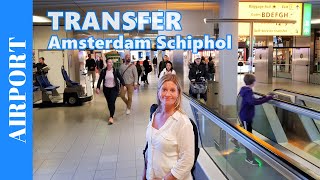 TRANSFER AT AMSTERDAM Airport Schiphol - Walking through the Airport to a Connection Flight