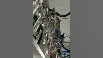 Automatic long stick sachet bag horizontal counting feeding cartoning machine carton encasing packin