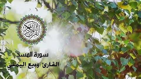 سورة المسد ... تلاوة خاشعة ... حالات واتس اب دينية قصيرة ... بصوت جميل ...