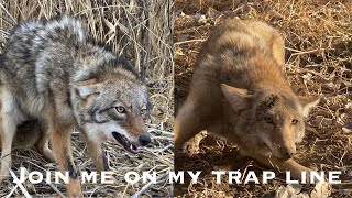 TRAPPER J’s VLOG s.2 e.p39 {coyote 18-19}  {I’m froze}