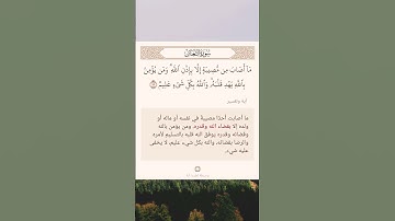 سورة التغابن أية (١١)