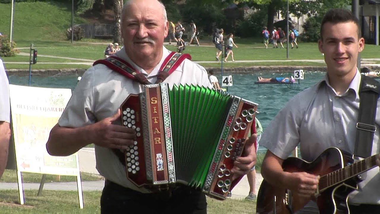 Harmonikarski orkester Mirna Peč   Muzikant