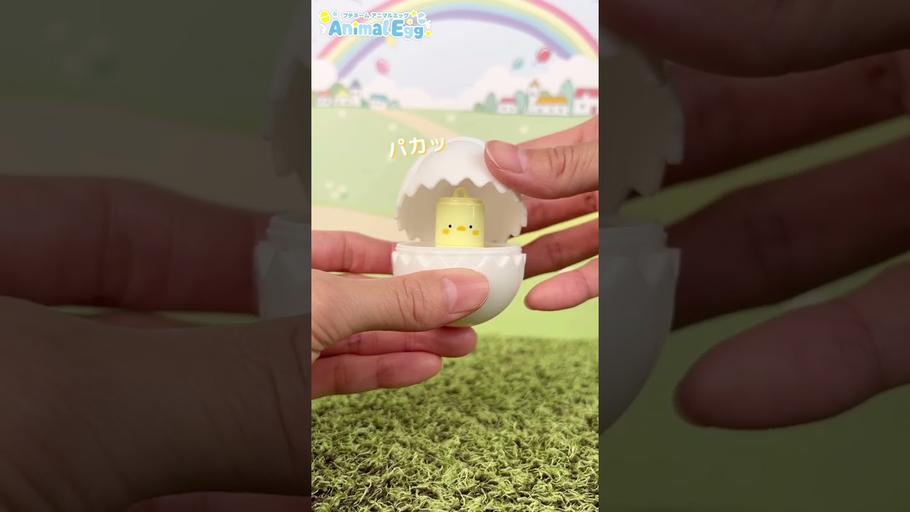 プチネーム Animal Egg ひよこちゃんのご紹介🐣 - YouTube
