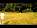 Flying wing hand-launch RC aerobatics - Thor by Küstenflieger