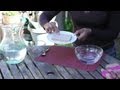 How to Plant Seeds in a Sponge : Seed Planting Tips How to Plant Seeds in a Sponge : Seed Planting Tips