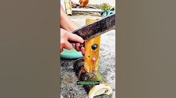 Snail Tail Cutting Tool — Boost Work Efficiency with Good Tools and Machinery