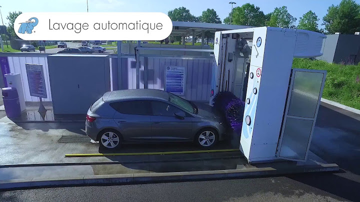 Lavage automatique Eléphant Bleu