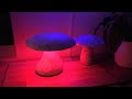 Concrete Mushroom Lamp Part 1 - Big & Heavy