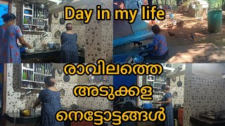 ആർഭാടങ്ങൾ ഇല്ലാത്ത എന്റെ അടുക്കള വിശേഷങ്ങൾ/morning routine/day in my life/easy kadala curry/ottada/