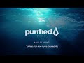 Purified radio 394