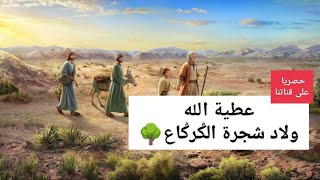 عطيت الله ولاد شجرة الݣرݣاع حصريا على قناتنا  قصص مسموعة لنوم هادئ و مريح