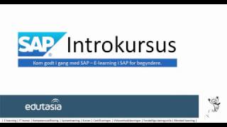 Revisor fedt nok Mor SAP kursus for begyndere (E-learning)