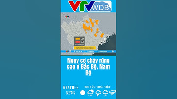 Nguy cơ cháy rừng cao ở Bắc Bộ, Nam Bộ | VTVWDB