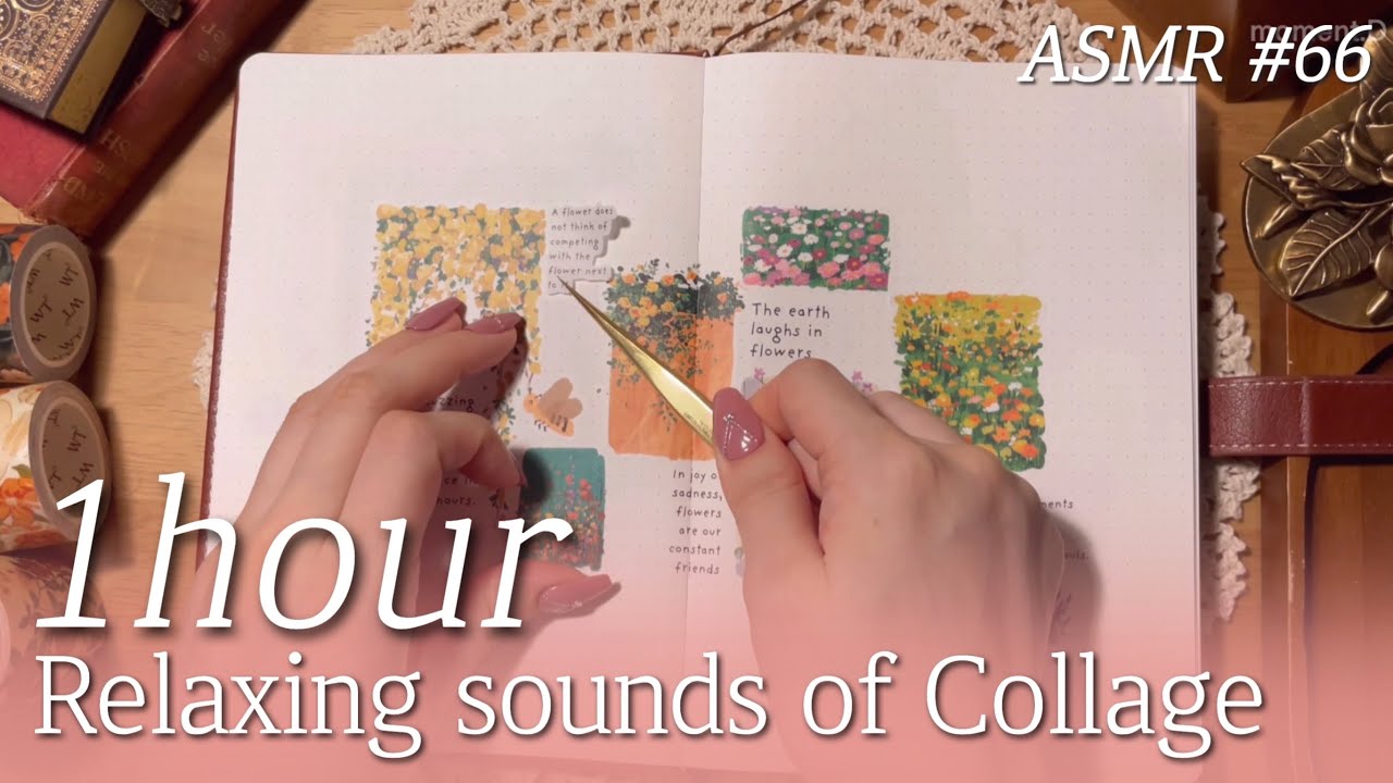 ASMR 1Hour✨꿀잠용 영상 1시간 다꾸 모음 #66 Art Journaling Compilation✨relaxing sounds of collage #コラージュ