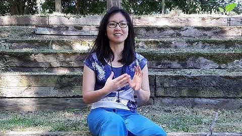 Axit – Kiềm, Nguyên nhân gốc của bệnh tật, Giải pháp kiềm hóa và ăn thô